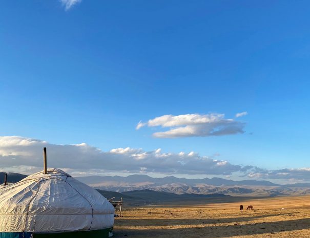 IMG_20220819_230524_330